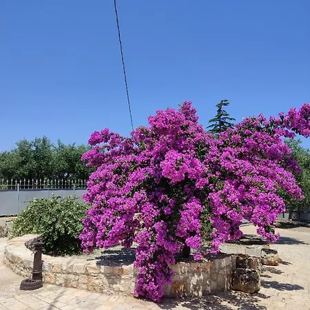 I Trulli Di Nonno Oronzo Дом отдыха Монополи