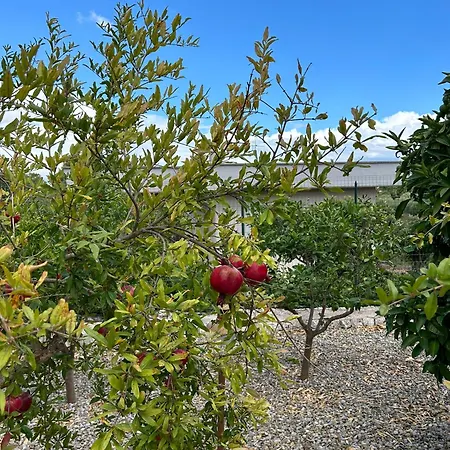 Дом отдыха I Trulli Di Nonno Oronzo