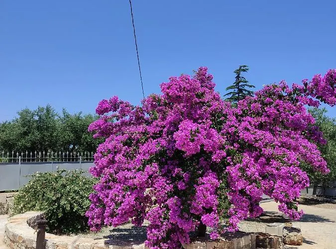 I Trulli Di Nonno Oronzo Prázdninový dům Monopoli