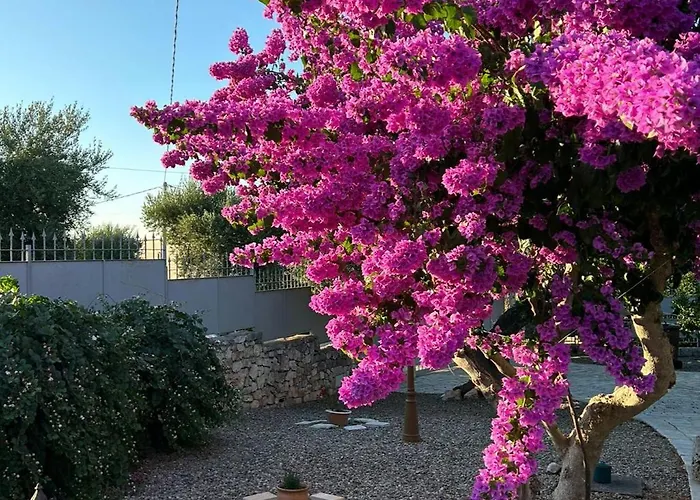 I Trulli Di Nonno Oronzo * Monopoli