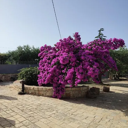 Holiday home I Trulli Di Nonno Oronzo *