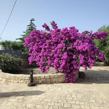 Holiday home I Trulli Di Nonno Oronzo *