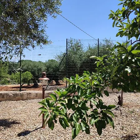 I Trulli Di Nonno Oronzo Holiday home Monopoli