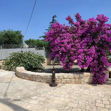 Hébergement de vacances I Trulli Di Nonno Oronzo