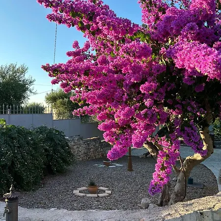 I Trulli Di Nonno Oronzo * Monopoli