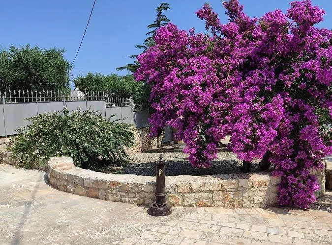 別荘 I Trulli Di Nonno Oronzo